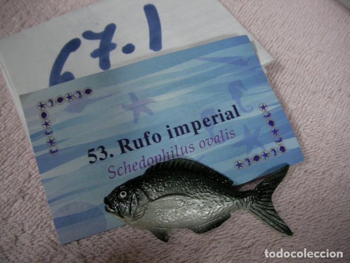 Figuras de Goma y PVC: PECES DE CANARIAS - FIGURA DE RESINA +- 5 CM DECORACION O DIORAMA - ENVIO INCLUIDO A ESPA&Ntilde;A