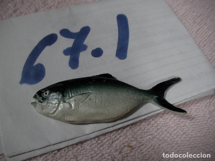 Figuras de Goma y PVC: PECES DE CANARIAS - FIGURA DE RESINA +- 5 CM DECORACION O DIORAMA - ENVIO INCLUIDO A ESPA&Ntilde;A