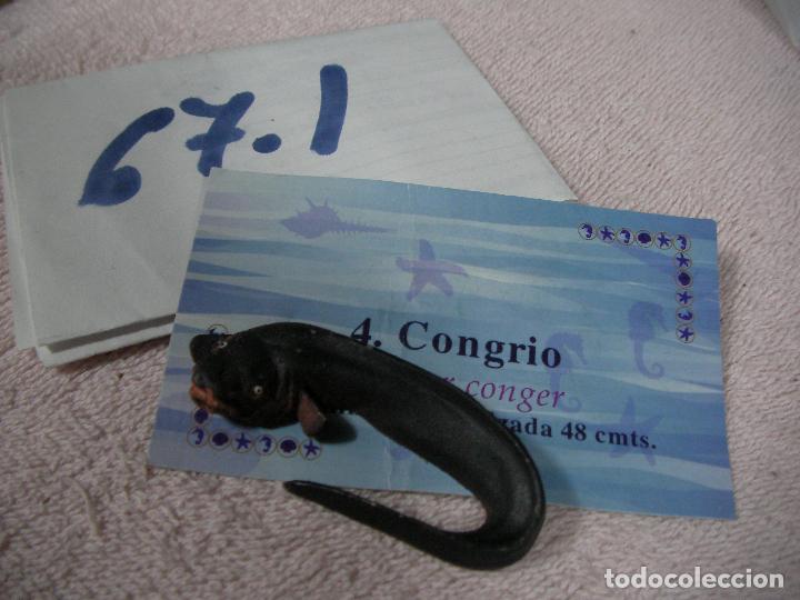 Figuras de Goma y PVC: PECES DE CANARIAS - FIGURA DE RESINA +- 5 CM DECORACION O DIORAMA - ENVIO INCLUIDO A ESPA&Ntilde;A