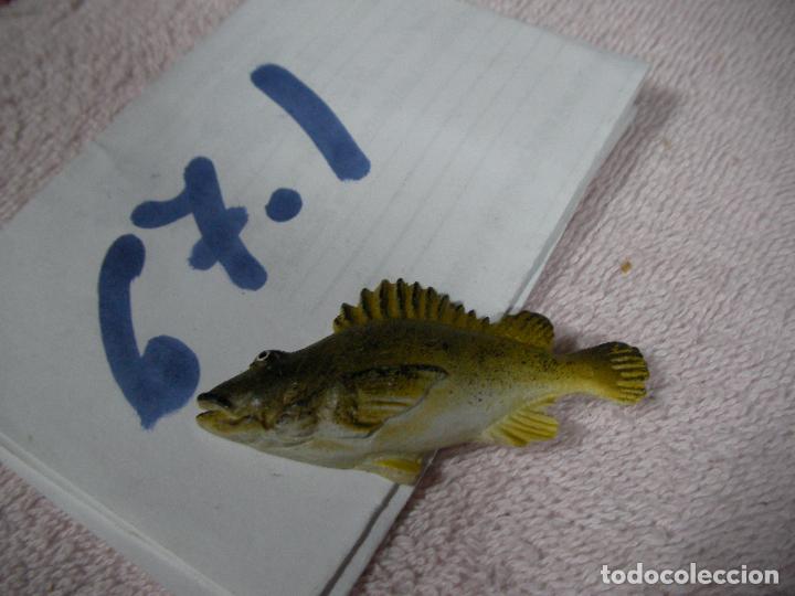 Figuras de Goma y PVC: PECES DE CANARIAS - FIGURA DE RESINA +- 5 CM DECORACION O DIORAMA - ENVIO INCLUIDO A ESPA&Ntilde;A