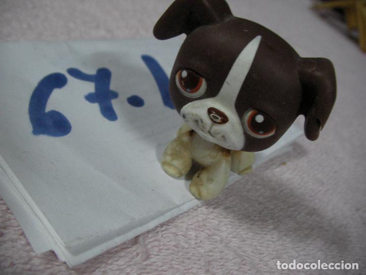 Figuras de Borracha e PVC: FIGURA DE GOMA O PVC ANIMALITO - ENVIO INCLUIDO A ESPA&Ntilde;A