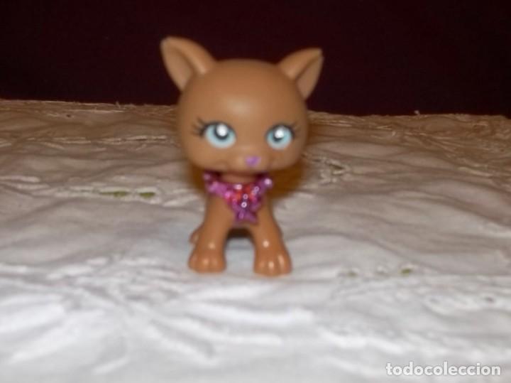 Figuras de goma y PVC: PERRITO MASCOTA BARBIE? - Foto 1