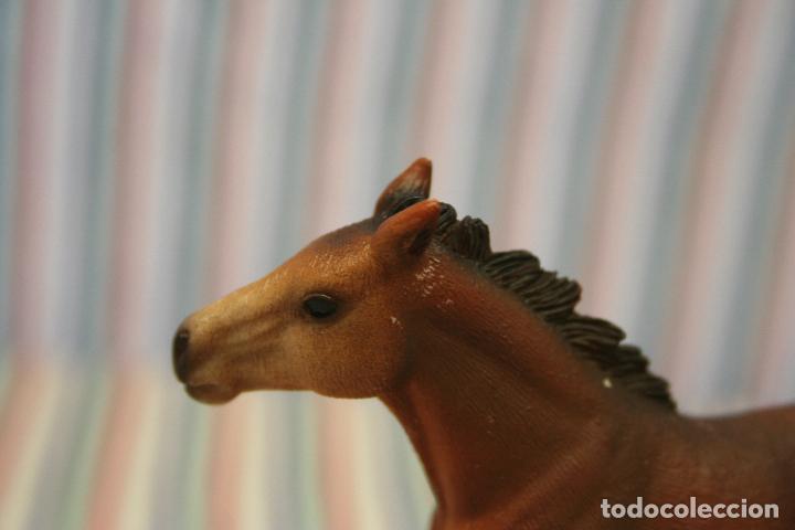 Figuras de goma y PVC: POTRO DE MUSTANG DE SCHLEICH - Foto 4