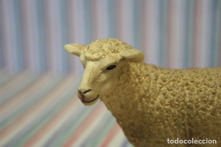 Figuras de goma y PVC: OVEJA DE SCHLEICH - Foto 4