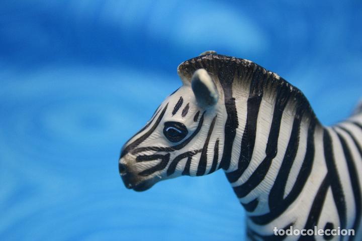 Figuras de goma y PVC: CEBRA DE SCHLEICH, DESCATALOGADA - Foto 6