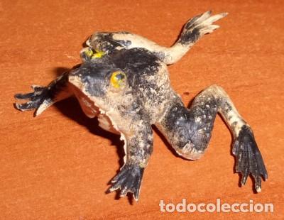 Figuras de goma y PVC: RANA DE GOMA - Foto 1
