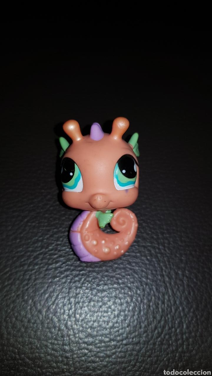 De Littlest Pet Shop Online