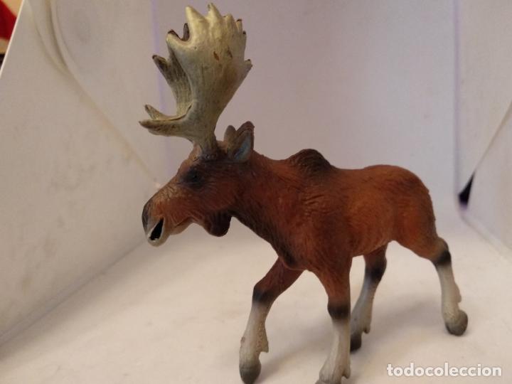 Figuras de goma y PVC: Reno arce bullyland - Foto 2