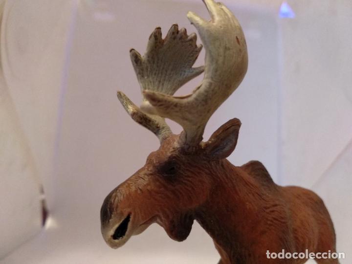 Figuras de goma y PVC: Reno arce bullyland - Foto 3