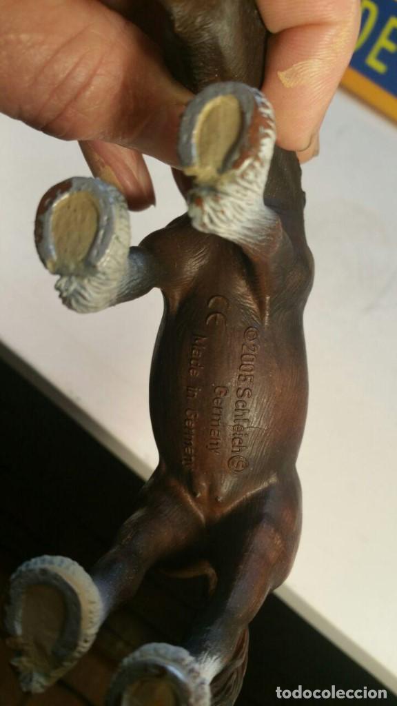Figuras de goma y PVC: SCHLEICH 2005 CABALLO - Foto 5
