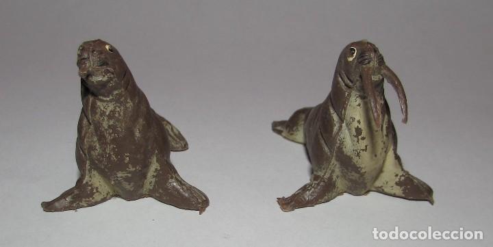Figuras de Goma y PVC: MORSA SERIE FIERAS - PECH - AÑOS 60 - DOS MORSAS - Foto 2 - 168836708