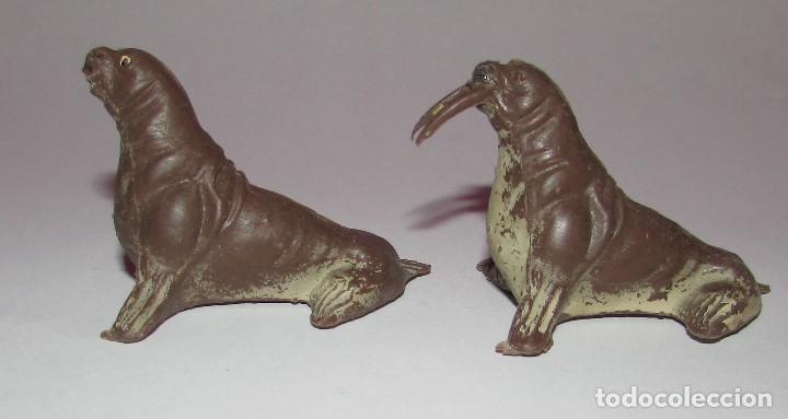 Figuras de Goma y PVC: MORSA SERIE FIERAS - PECH - AÑOS 60 - DOS MORSAS - Foto 4 - 168836708