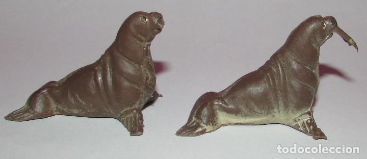 Figuras de Goma y PVC: MORSA SERIE FIERAS - PECH - AÑOS 60 - DOS MORSAS - Foto 5 - 168836708