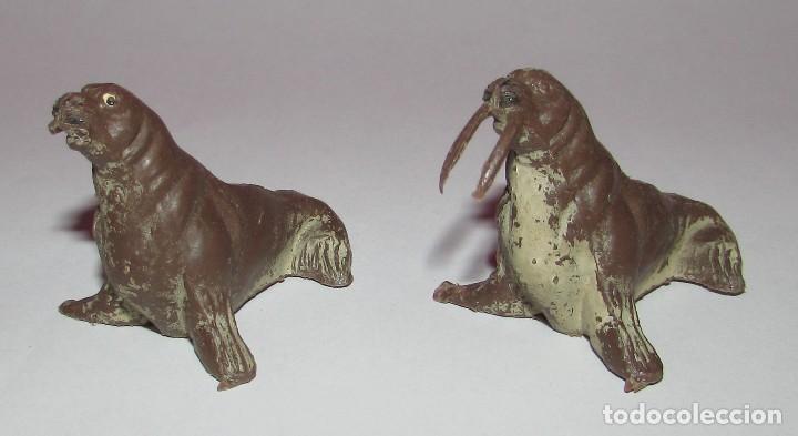 Figuras de Goma y PVC: MORSA SERIE FIERAS - PECH - AÑOS 60 - DOS MORSAS - Foto 8 - 168836708
