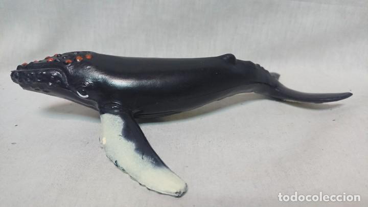 Figuras de Borracha e PVC: BALLENA PVC HUMPBACK WHALE ESCALA 1:75 A&Ntilde;O 1994