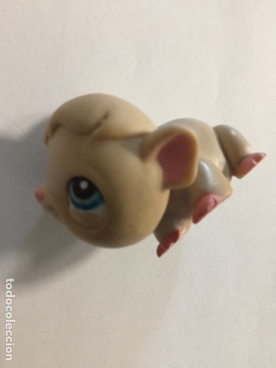 Figuras de Goma y PVC: Little pet shop- Hasbro #246