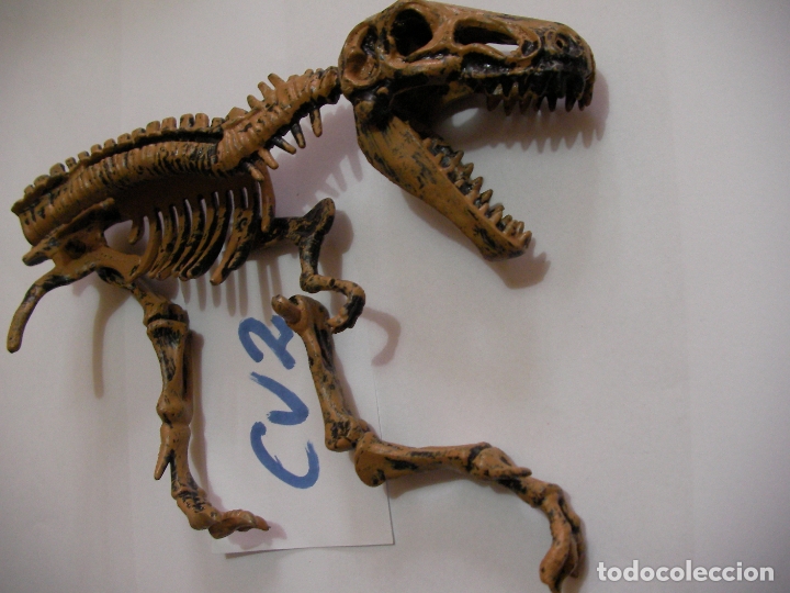 Figuras de goma y PVC: FOSIL DINOSAURIO - Foto 2
