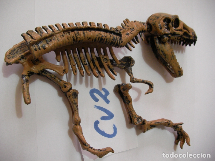 Figuras de goma y PVC: FOSIL DINOSAURIO - Foto 1