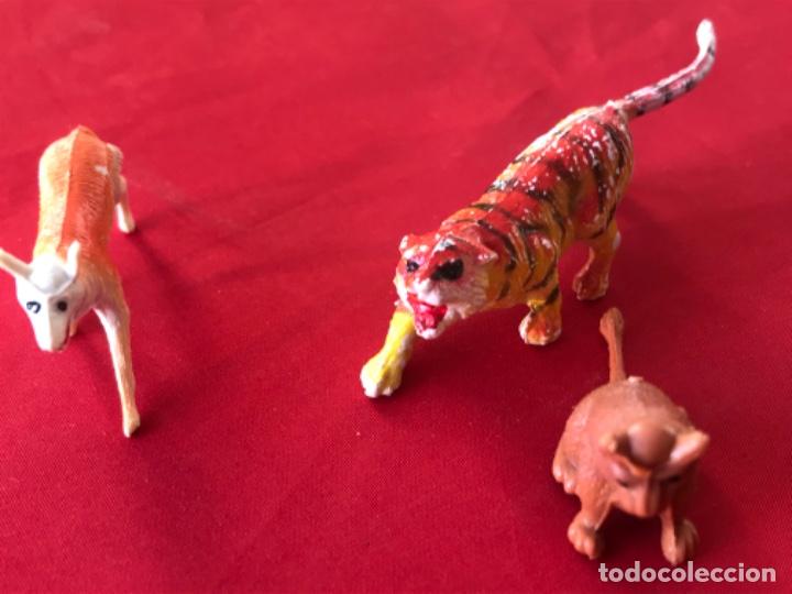 Figuras de Goma y PVC: Antiguos muñecos plastico duro Animal jecsan pech comansi perro tigre lobo ver fotografias - Foto 2 - 186151552
