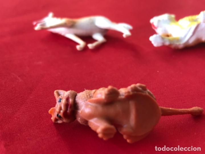 Figuras de Goma y PVC: Antiguos muñecos plastico duro Animal jecsan pech comansi perro tigre lobo ver fotografias - Foto 4 - 186151552