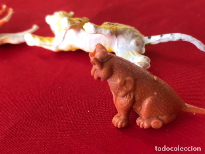 Figuras de Goma y PVC: Antiguos muñecos plastico duro Animal jecsan pech comansi perro tigre lobo ver fotografias - Foto 8 - 186151552