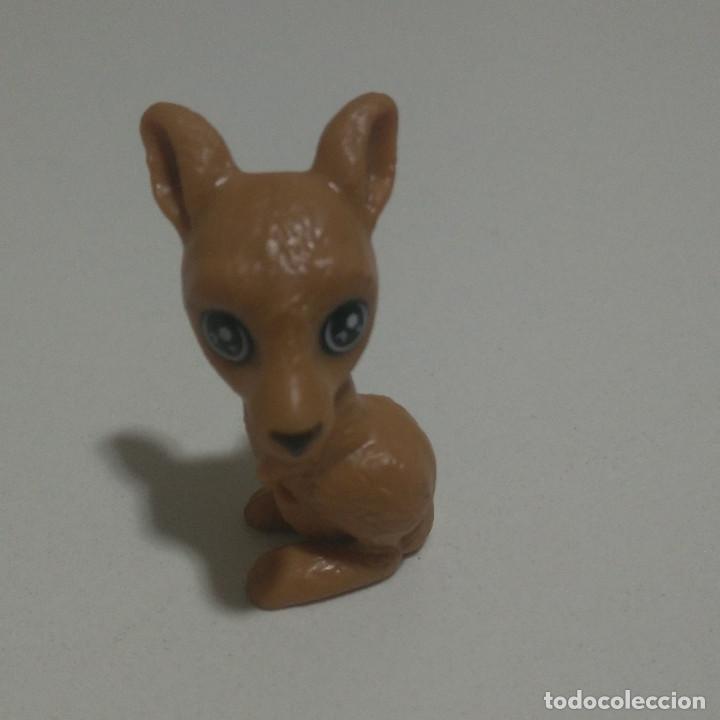 Kinder Figures: kinder canguro animal natoons natoon figura marsupial cabezon