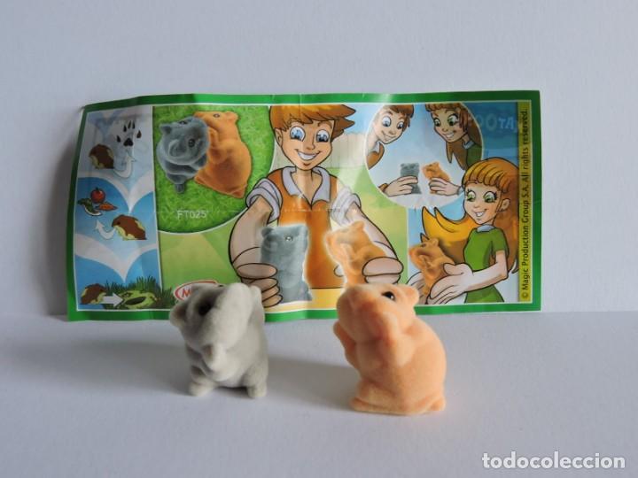 Figuras de goma Kinder: KINDER NATOONS - FT025 - CON BPZ - Foto 1