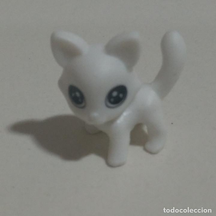 Kinder Figures: gato gatito blanco mini kinder mascota infinimix
