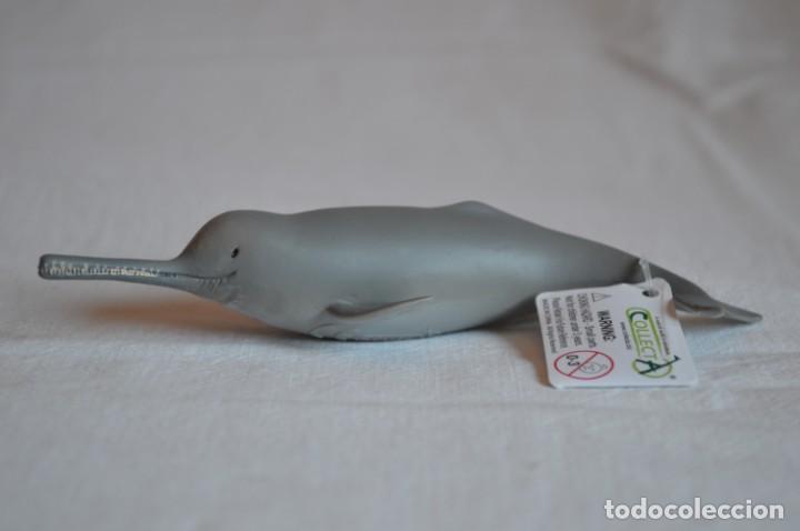 Figure di Gomma e PVC: Delf&iacute;n del r&iacute;o Ganges. Figura Collecta. 2013. romanjuguetesymas.