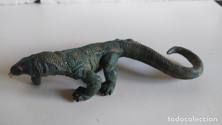 Dragón de Komodo - La Extinción