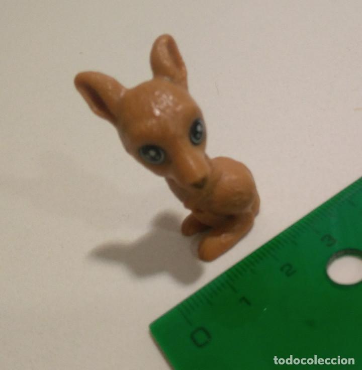 Kinder &Uuml;berraschung: kinder natoons naton cabezon mu&ntilde;eco canguro marsupial figurita animal