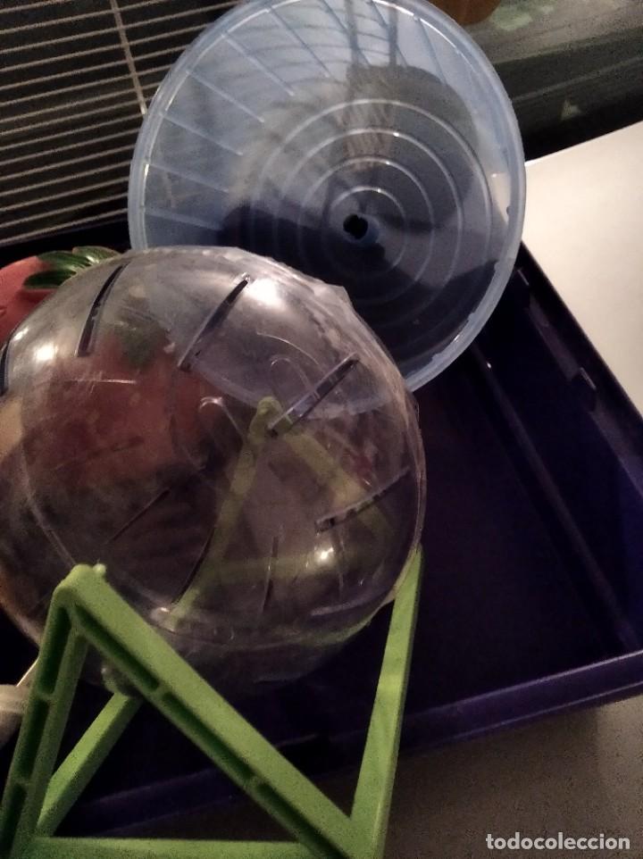 Figuras de goma y PVC: Jaula hamster comida casa - Foto 3