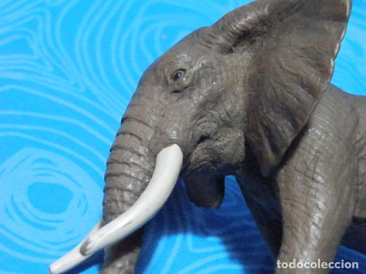 Figuras de goma y PVC: SCHLEICH ELEFANTE AFRICANO - Foto 2