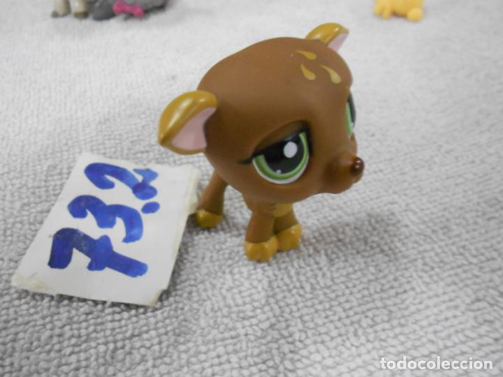 Figurines en Caoutchouc et PVC: ANIMALITO - ENVIO INCLUIDO A ESPA&Ntilde;A