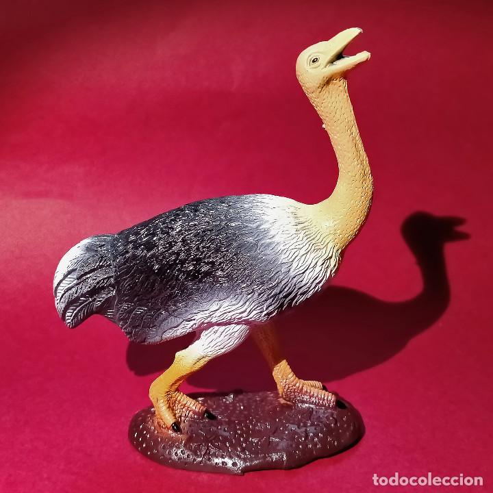 Rubber and PVC Figures: Avestruz figura de goma / PVC / pl&aacute;stico aves p&aacute;jaros animales salvajes