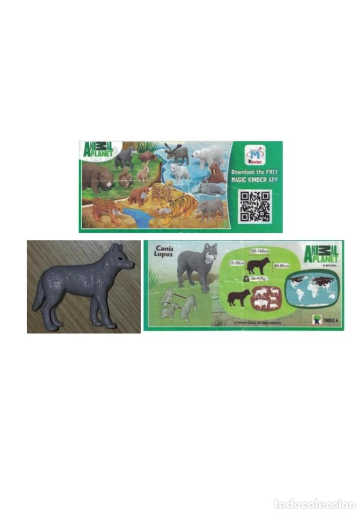 Kinder Figures: Animales del planeta: TR002A Lobo + BPZ
