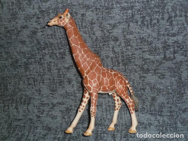 Figuras de goma y PVC: Jirafa macho. Schleich 2015 - Foto 1