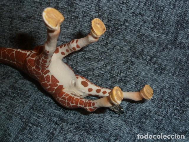 Figuras de goma y PVC: Jirafa macho. Schleich 2015 - Foto 4