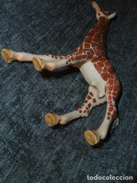 Figuras de goma y PVC: Jirafa macho. Schleich 2015 - Foto 5