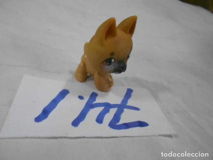 Figuras de Borracha e PVC: FIGURA DE GOMA O PVC PERRITO - ENVIO INCLUIDO A ESPA&Ntilde;A