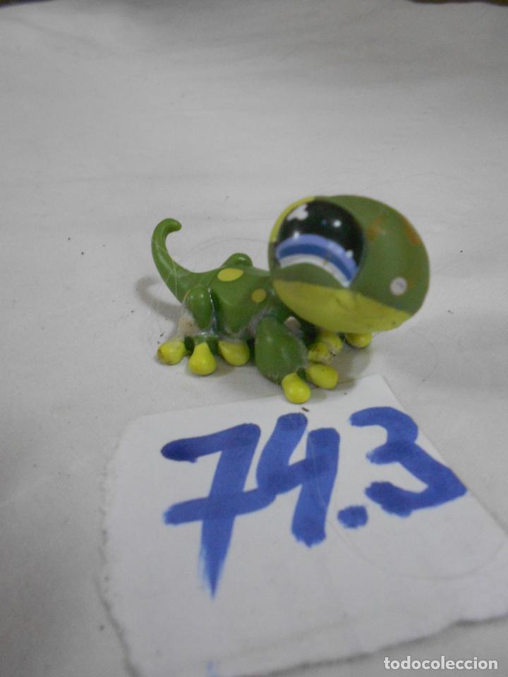Rubber and PVC Figures: FIGURA DE GOMA O PVC ANIMALITO - ENVIO INCLUIDO A ESPA&Ntilde;A