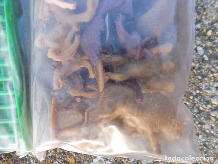 Figuras de goma y PVC: Novolinea bolsa zoo ref. 83 sin abrir - Foto 16