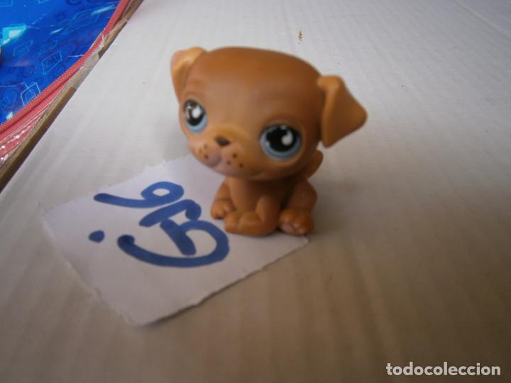 Gummi- und PVC-Figuren: FIGURA DE GOMA O PVC ANIMALITO PET SHOP - ENVIO INCLUIDO A ESPA&Ntilde;A