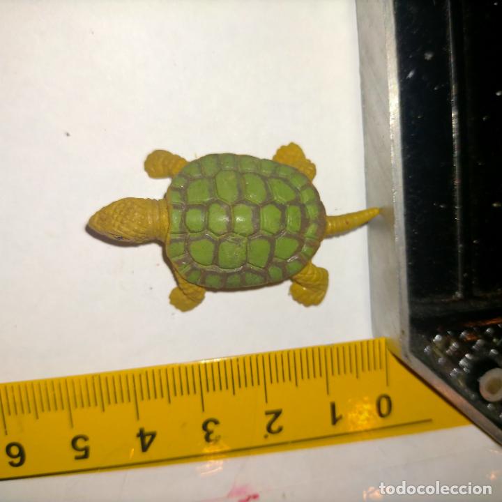 Figuras de goma y PVC: PLASTICO DURO MU&Ntilde;ECO TORTUGA - Foto 1