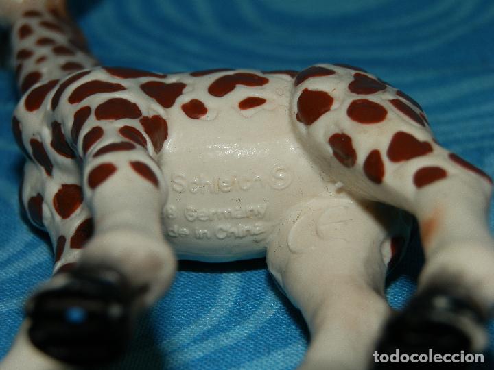 Figuras de goma y PVC: SCHLEICH 1998 CRIA DE JIRAFA - Foto 6