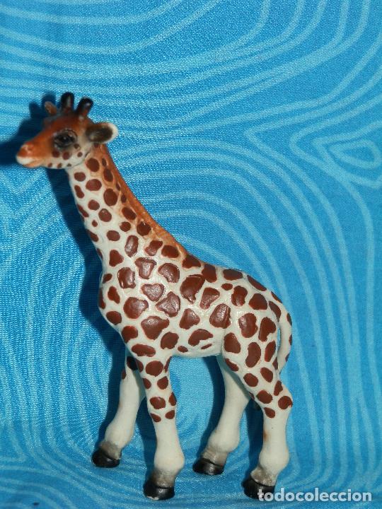 Figuras de goma y PVC: SCHLEICH 1998 CRIA DE JIRAFA - Foto 7