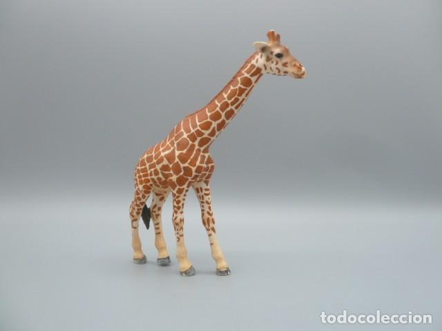 Figuras de goma y PVC: Jirafa hembra Schleich 2003 - Foto 1