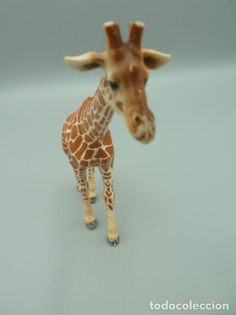 Figuras de goma y PVC: Jirafa hembra Schleich 2003 - Foto 5