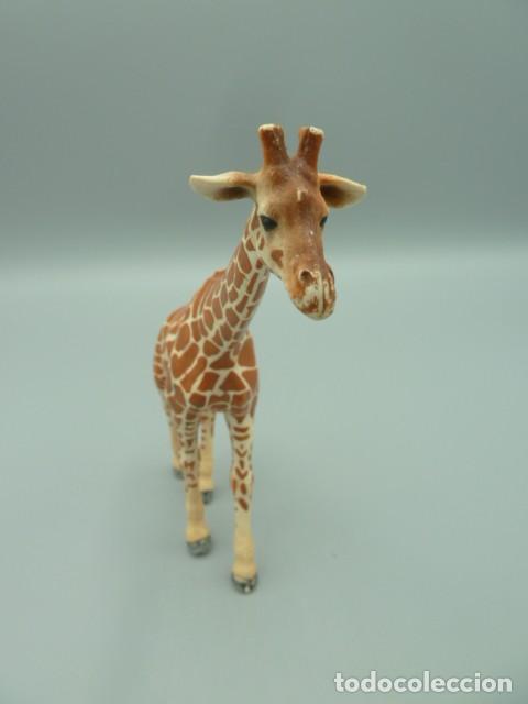 Figuras de goma y PVC: Jirafa hembra Schleich 2003 - Foto 6