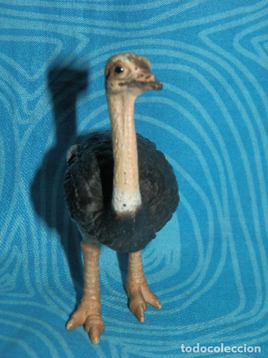 Figuras de goma y PVC: SCHLEICH AVESTRUZ , 9 CM - Foto 2